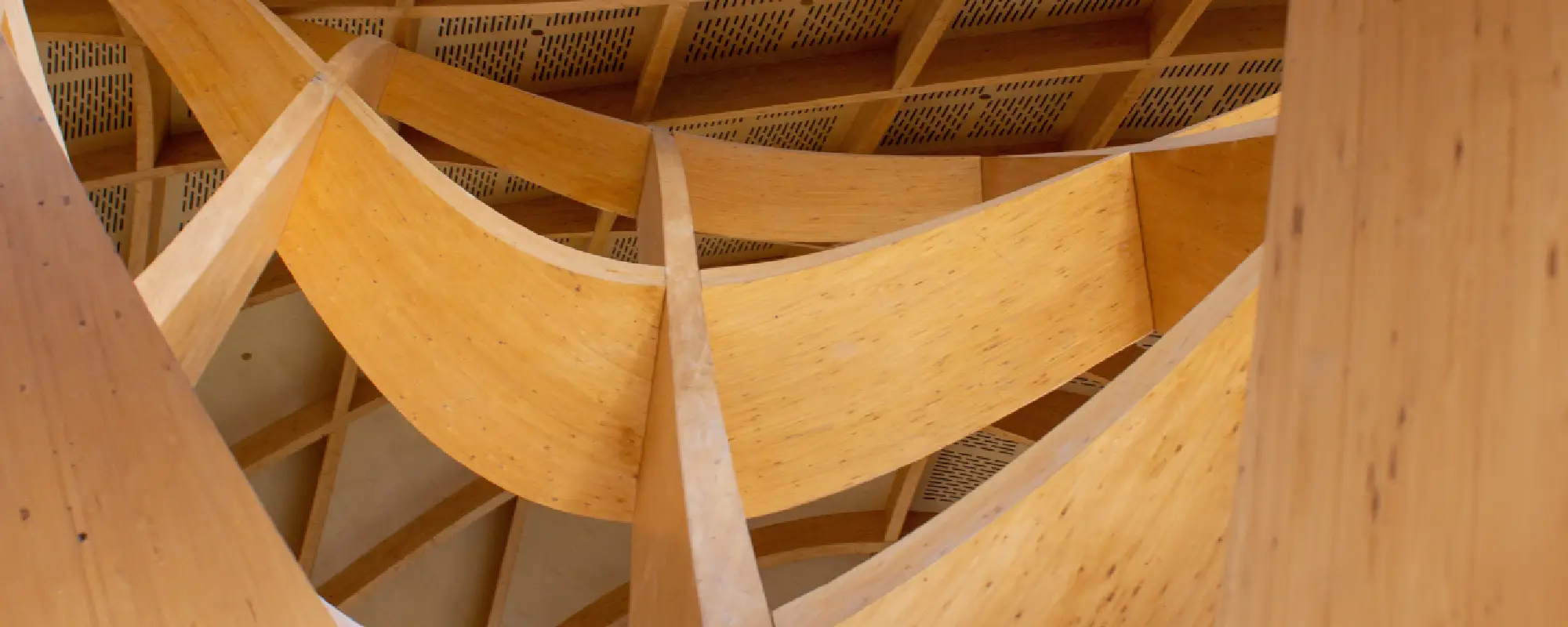 Mass Timber Revolution